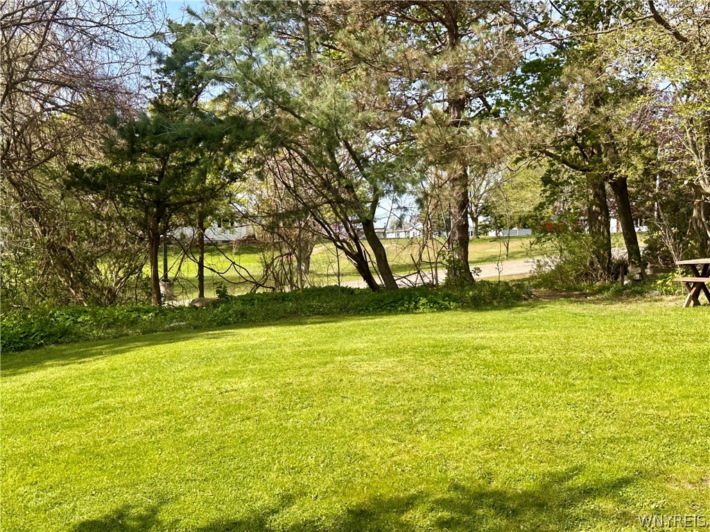 17 Prospect Street Hanover, NY 14062 - Photo 29 of 48