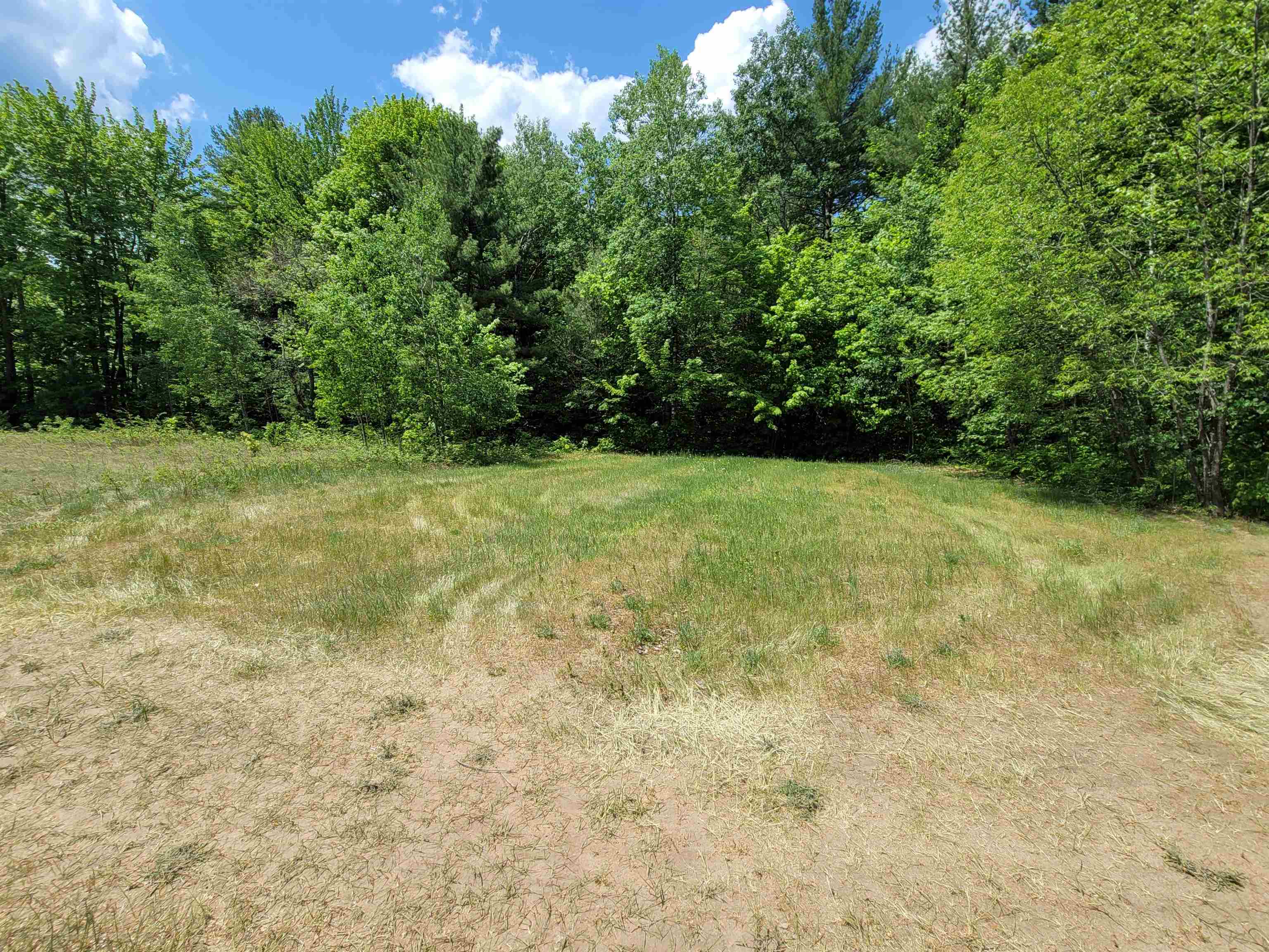 5381 Old Alba Road Gaylord, MI 49735 - Photo 43 of 43 1911790-43.JPG