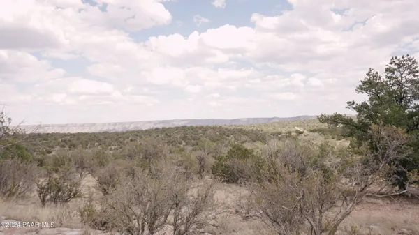 a view of a dry space with lots of trees