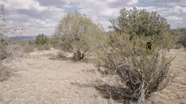 a view of a sign board with large trees