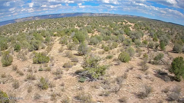 a view of a dry yard with trees