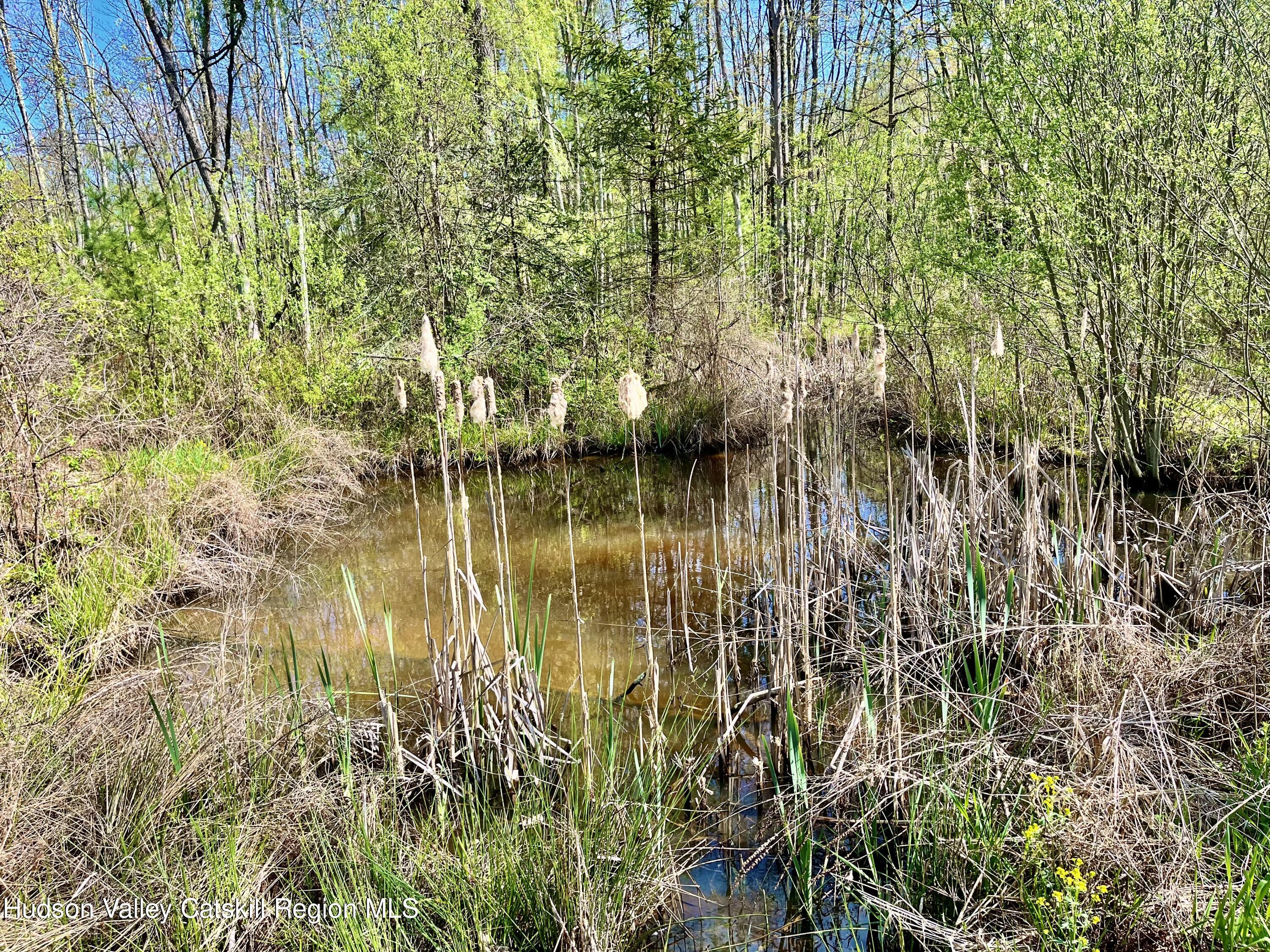 182 River Road, Unit CORNER SPRINGTOWN & RIVER Rosendale, NY 12561 - Photo 7 of 7 182 RR pond
