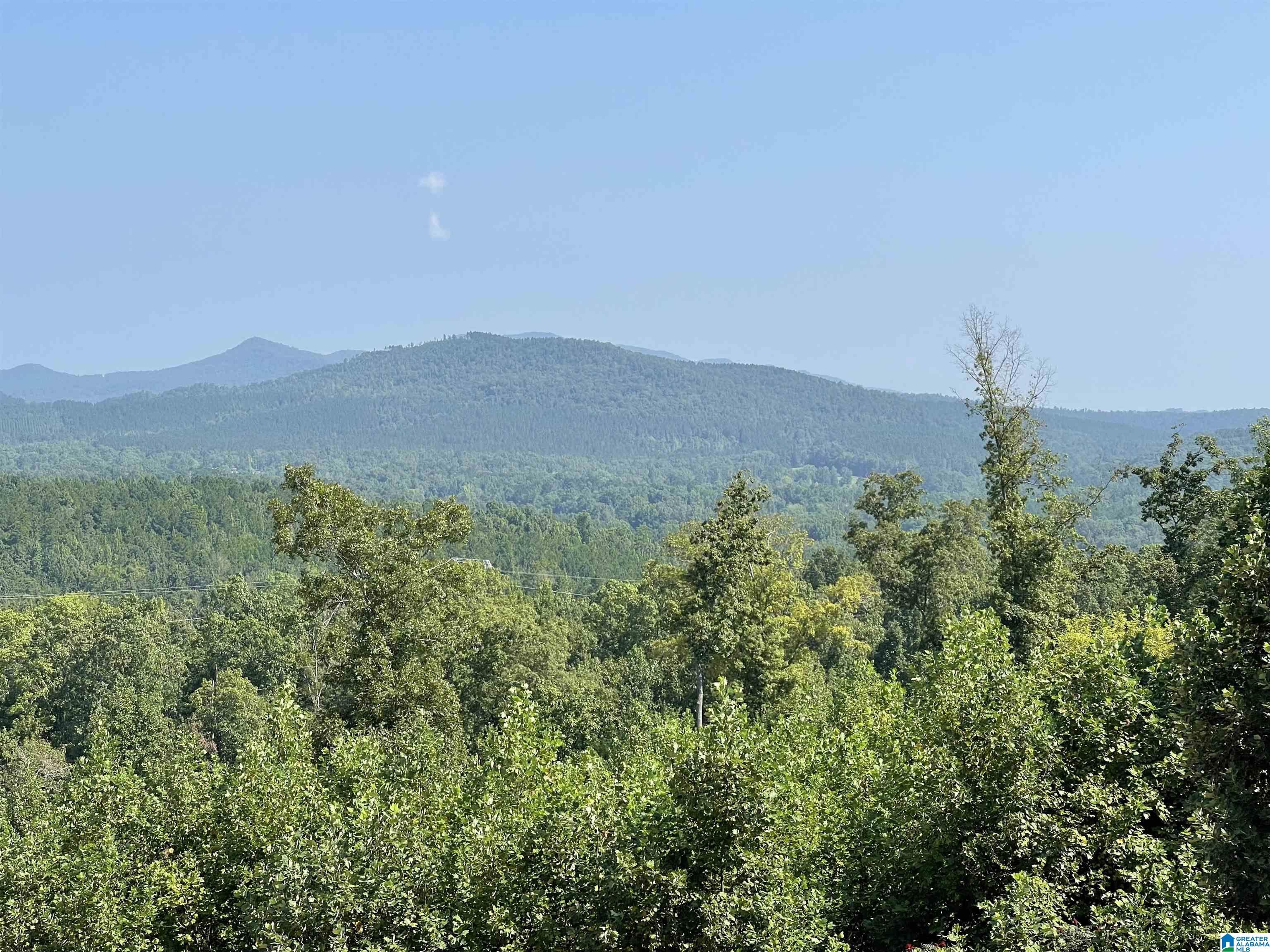 0 Benefield Gap Road Piedmont, AL 36272 - Photo 10 of 24
