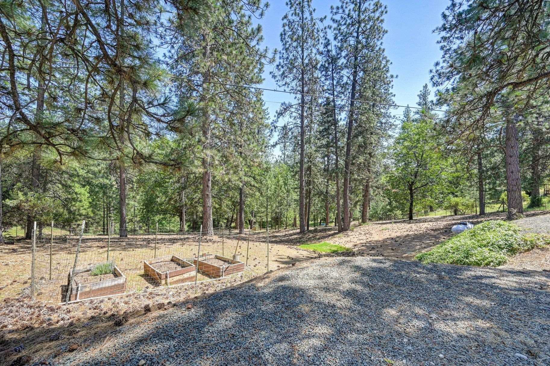 1205 Tokayana Ranch Lane Colfax, CA 95713 - Photo 21 of 28