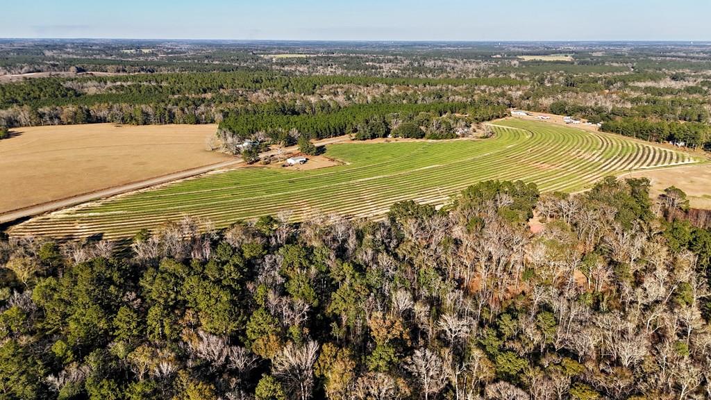 0 Tired Creek Road Whigham, GA 39897 - Photo 1 of 15 Gallery Image 1