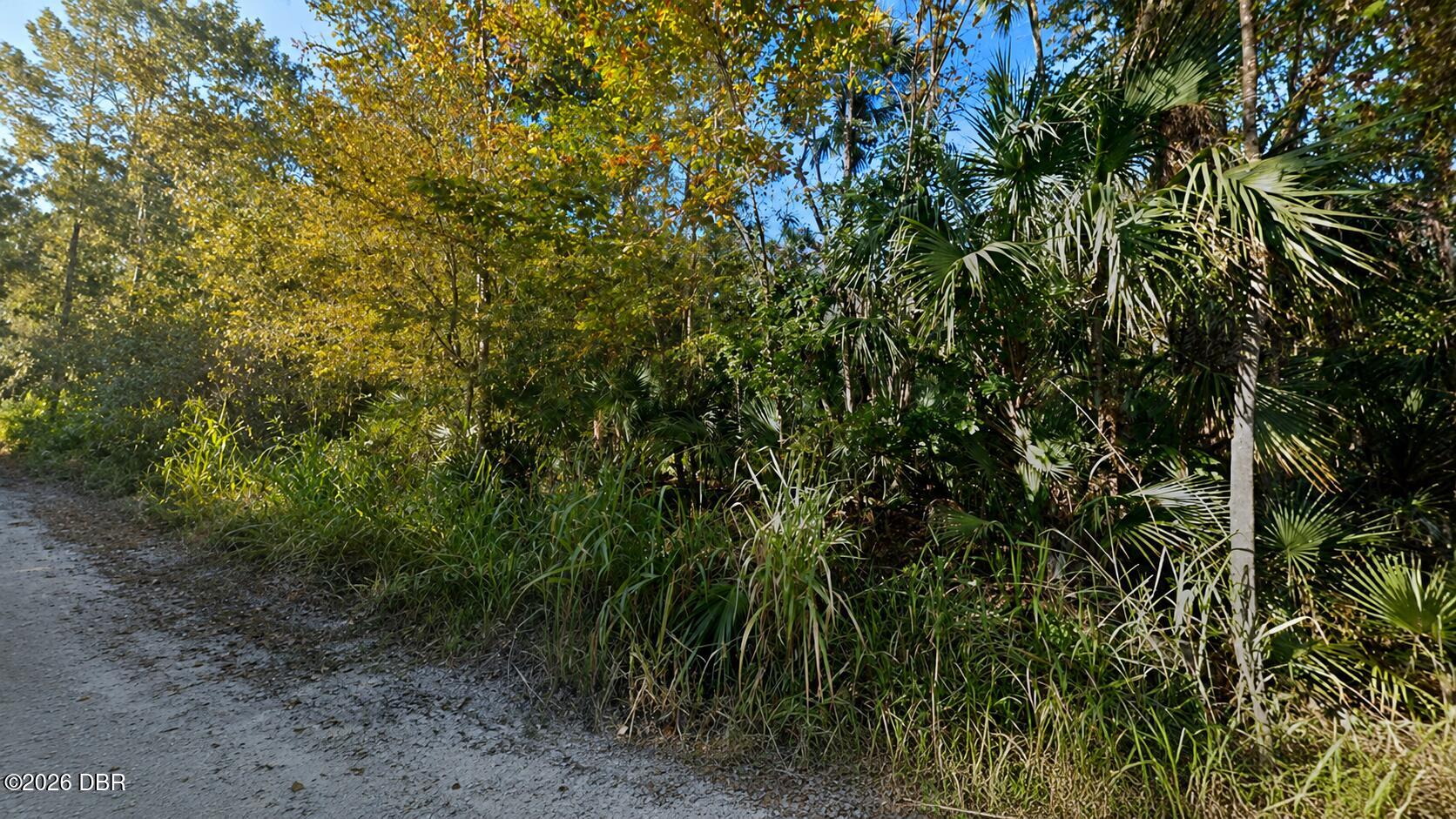 0 Citrus Drive Edgewater, FL 32141 - Photo 2 of 2 StreetView