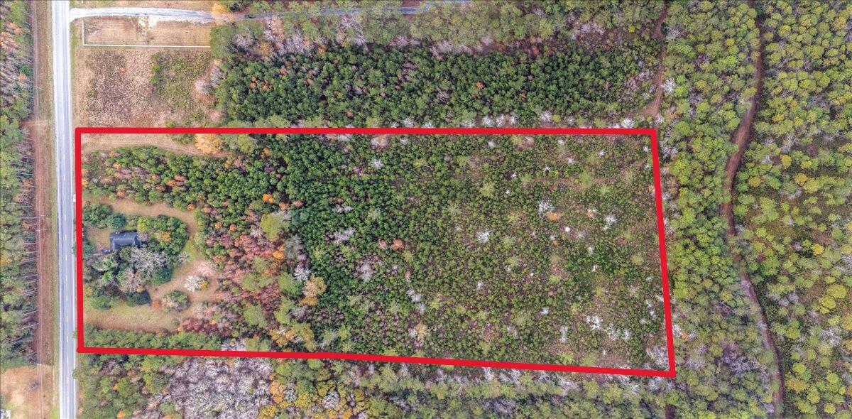 1978 Highway 61 Ridgeville, SC 29472 - Photo 1 of 25 Entire Lot