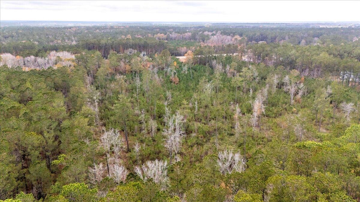 1978 Highway 61 Ridgeville, SC 29472 - Photo 19 of 25 09-DJI_20241219125454_0286_D