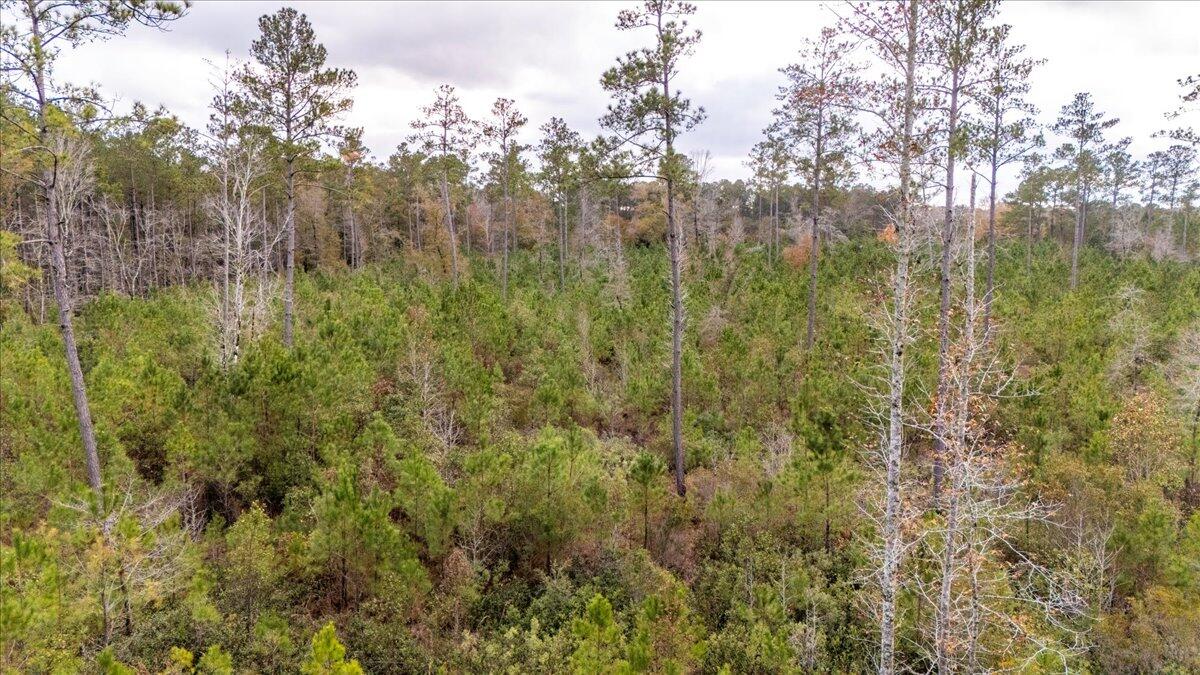 1978 Highway 61 Ridgeville, SC 29472 - Photo 20 of 25 09-DJI_20241219125545_0288_D