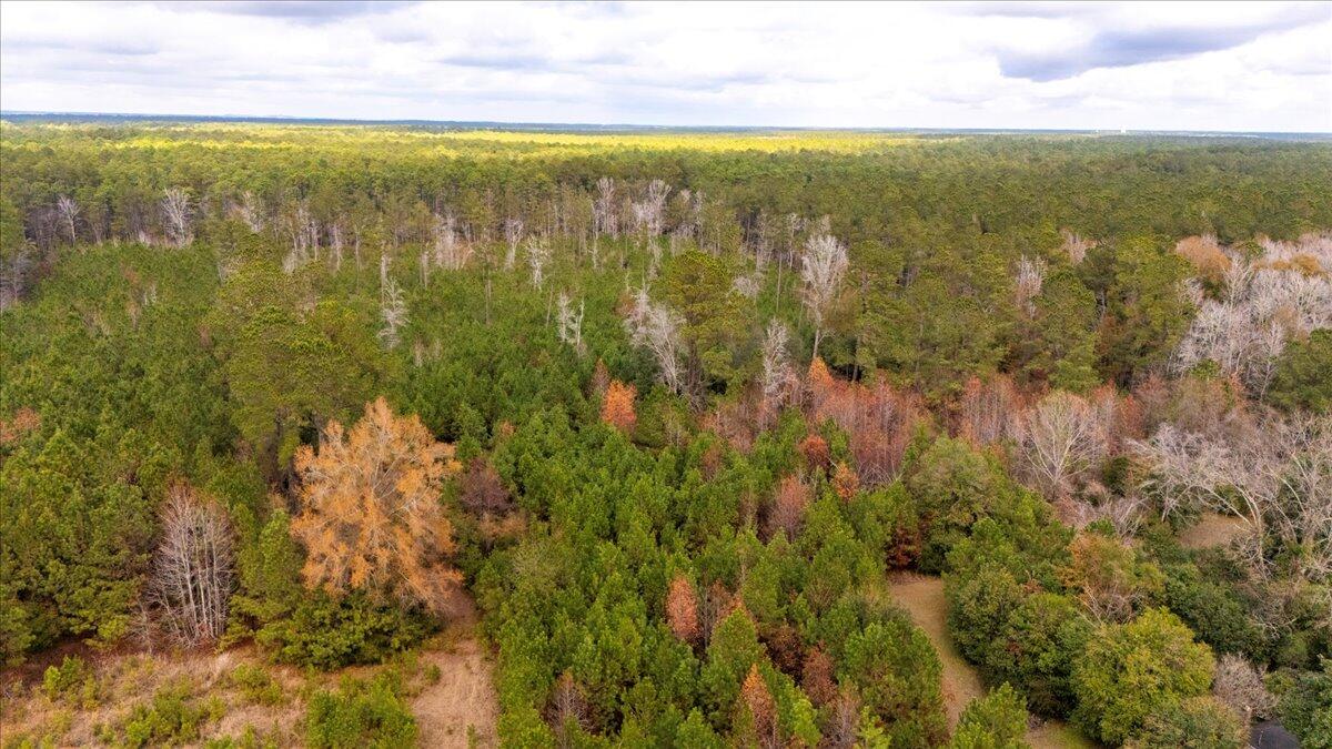 1978 Highway 61 Ridgeville, SC 29472 - Photo 22 of 25 12-DJI_20241219125731_0289_D