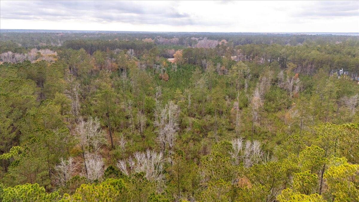 1978 Highway 61 Ridgeville, SC 29472 - Photo 23 of 25 12-DJI_20241219125856_0291_D