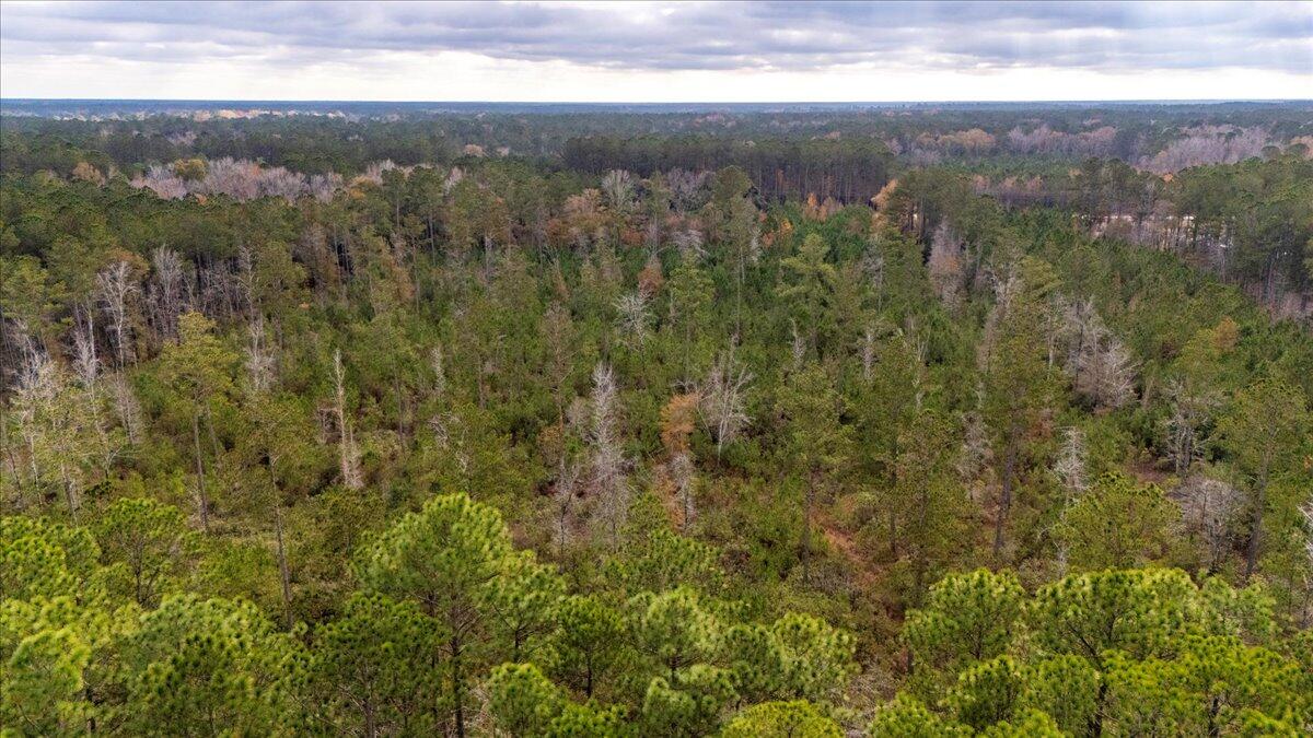 1978 Highway 61 Ridgeville, SC 29472 - Photo 24 of 25 13-DJI_20241219125915_0292_D