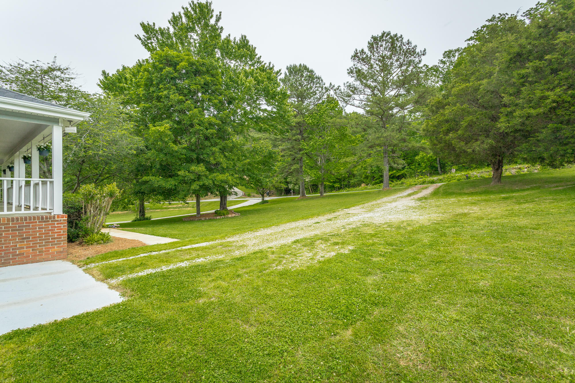 Front Yard