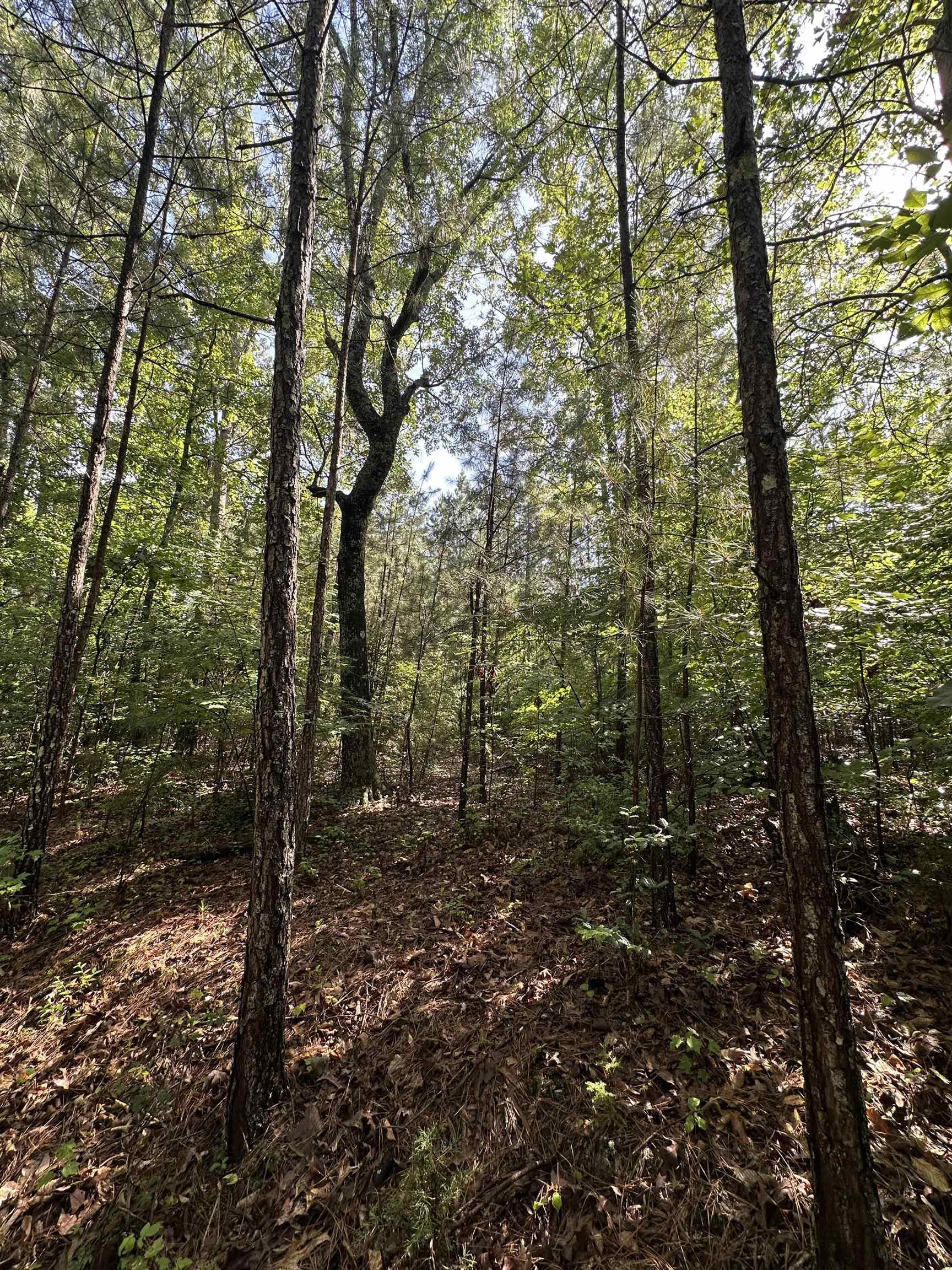 Old Buncombe Road Union, SC 29379 - Photo 2 of 4