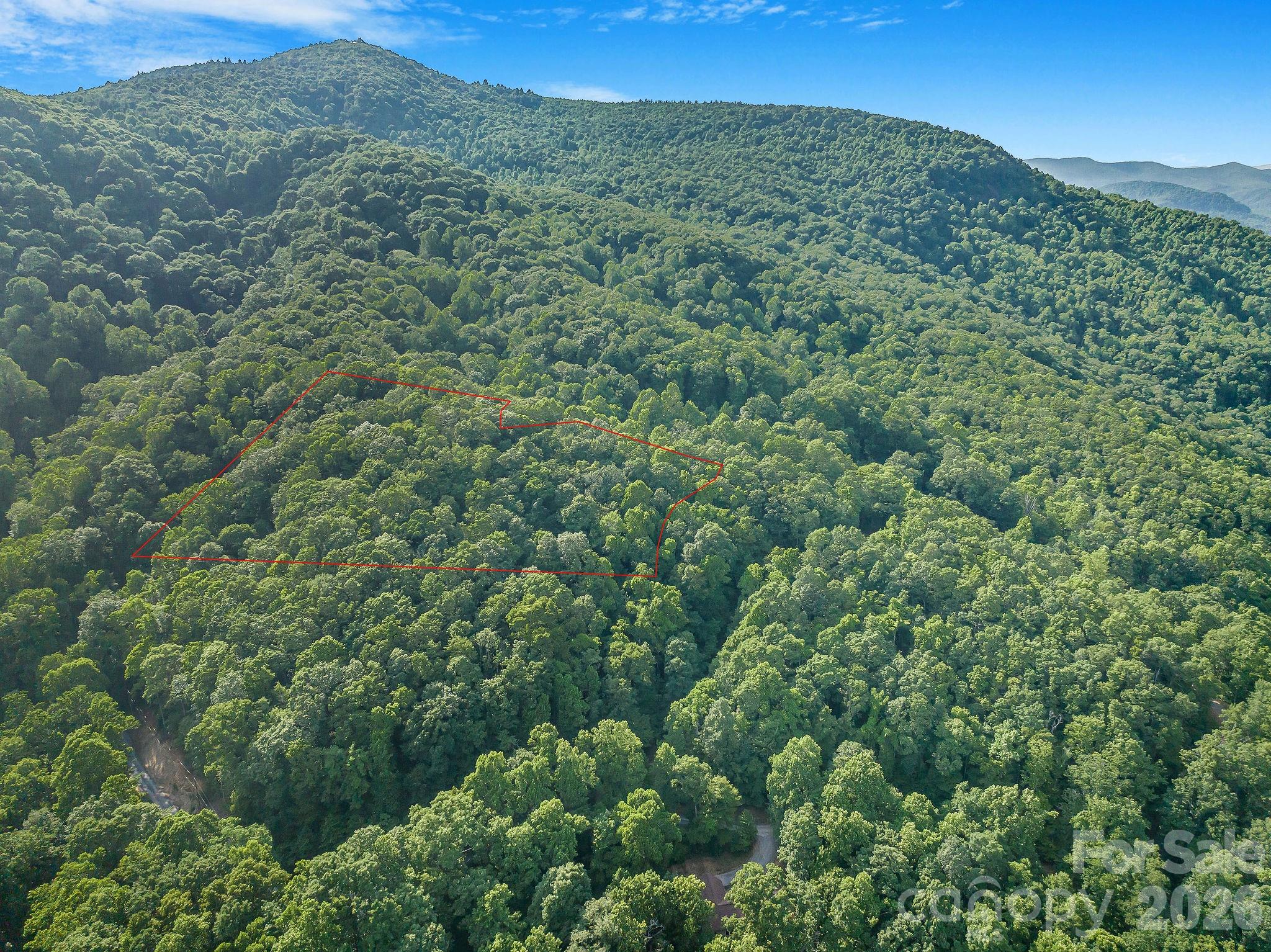 8 Carls Cove Road Hendersonville, NC 28792 - Photo 4 of 25