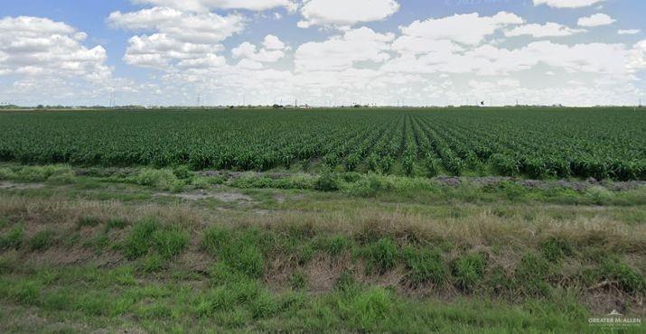 18499-18353 Fm 2556 Santa Rosa, TX 78593 - Photo 3 of 3 View of nature with rural landscape