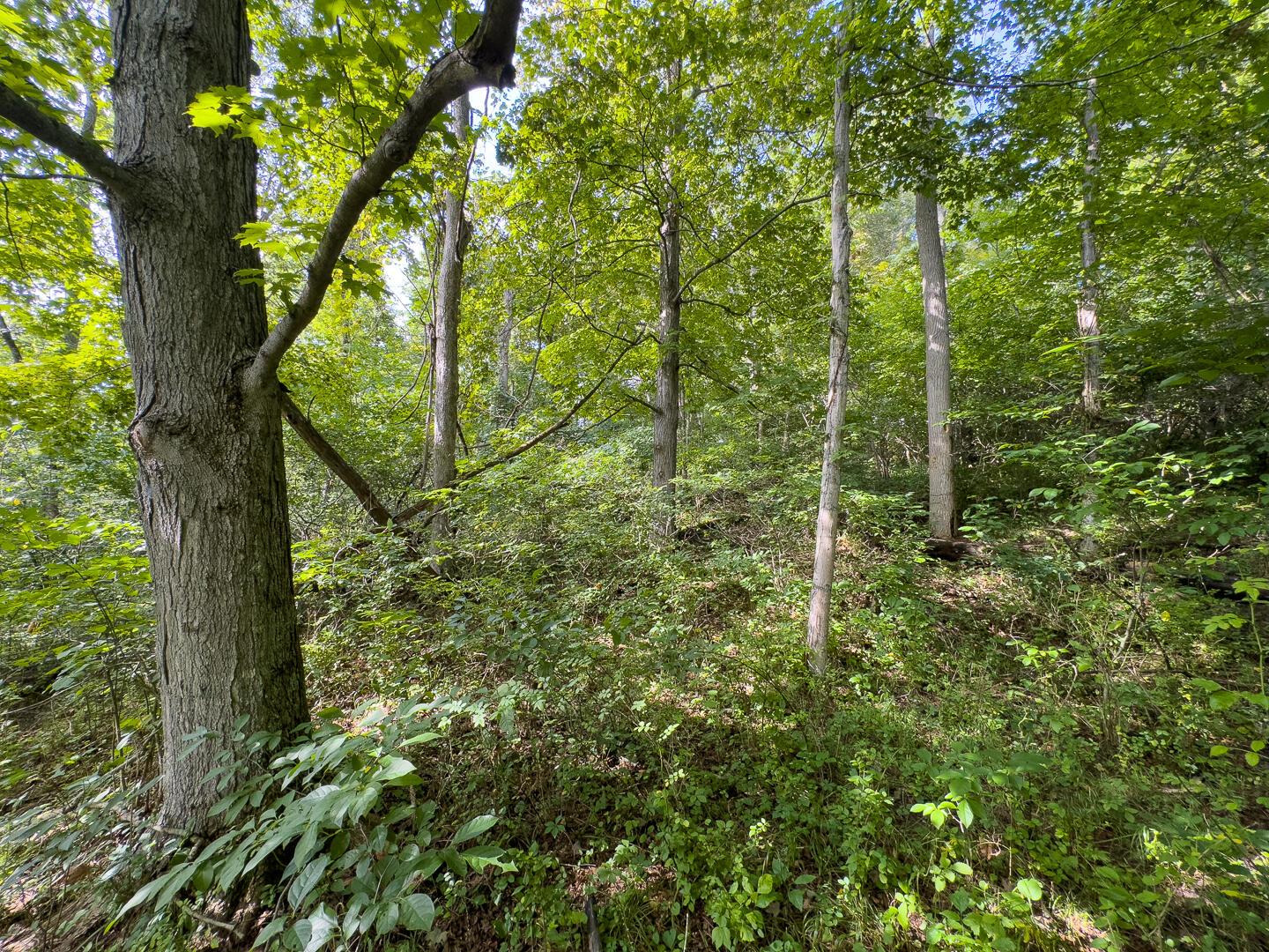 0 East Sand Ridge Road, Unit 338 Albany, OH 45710 - Photo 19 of 30 19-0 Sand Ridge Rd Ground-13
