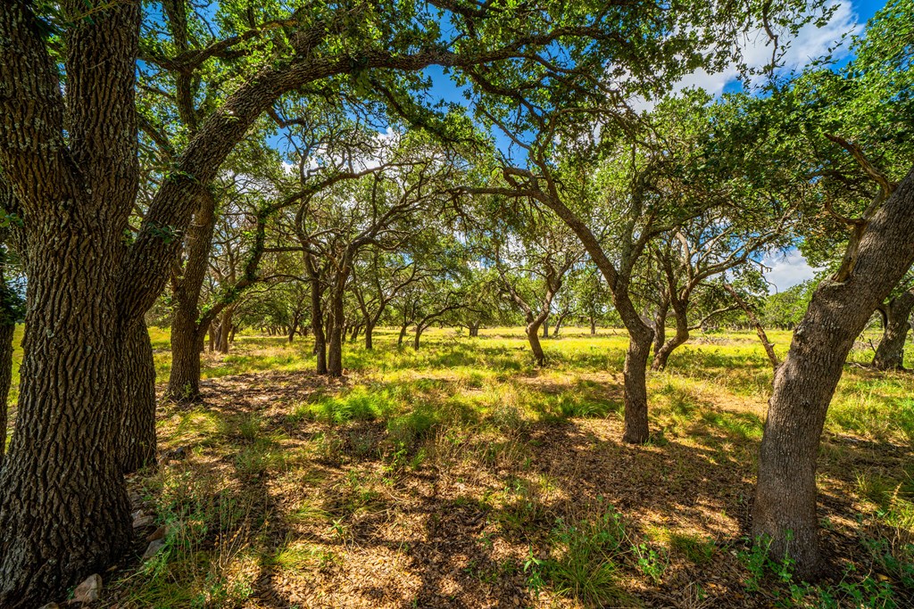 27 Blackjack Ranch Road, Unit 27 Harper, TX 78631 - Photo 6 of 10