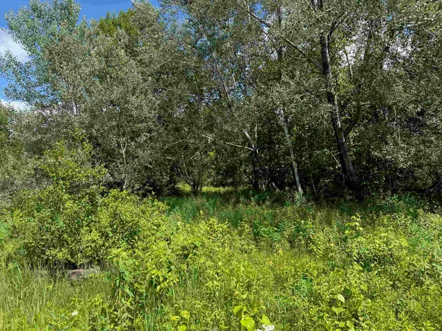 $115,000 | 8143 Wright Road, Winter, WI 54896