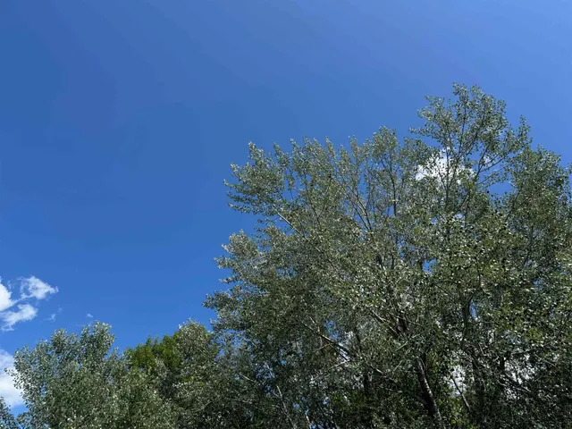 $115,000 | 8143 Wright Road, Winter, WI 54896