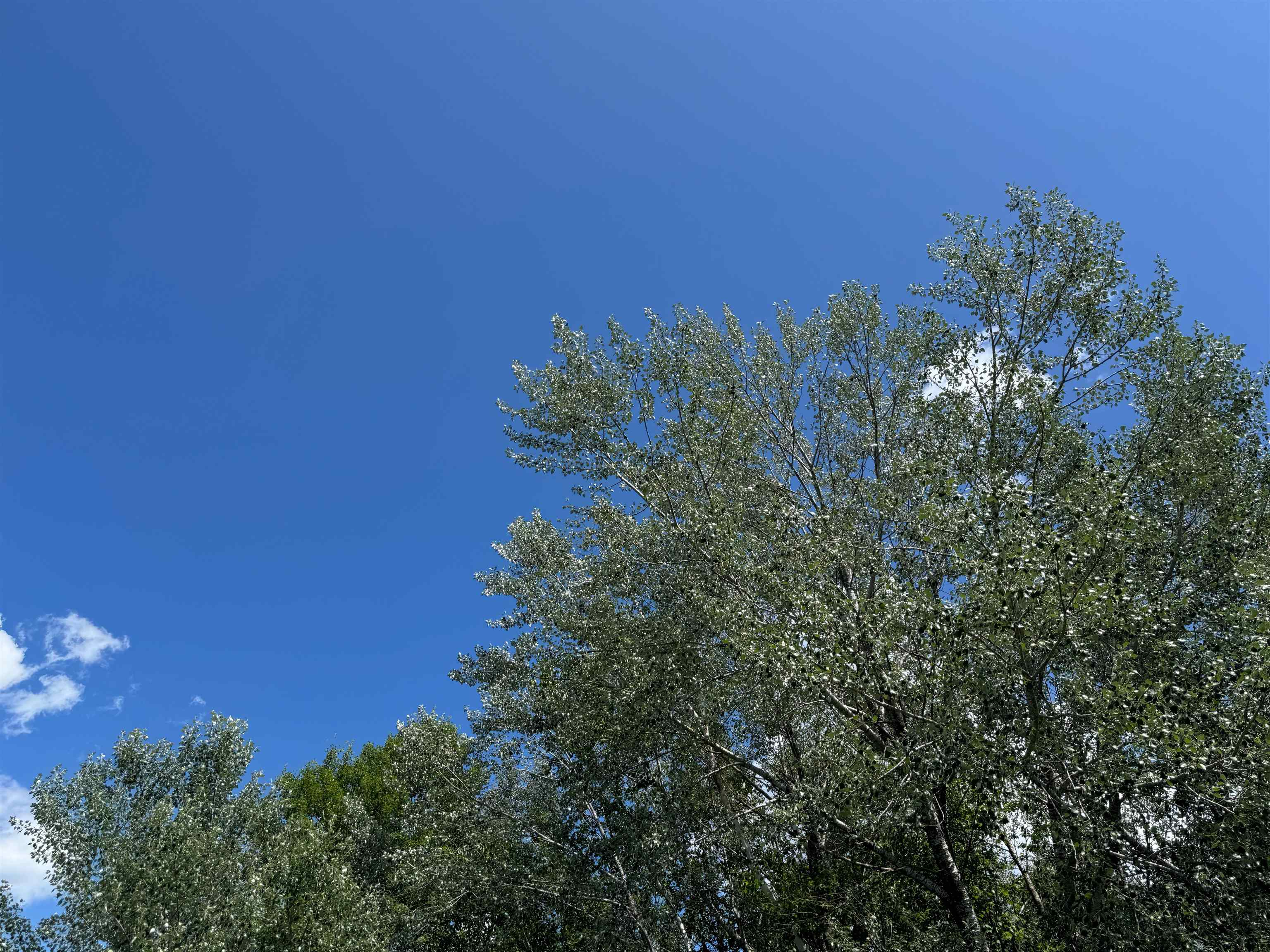 8143 Wright Road Winter, WI 54896 - Photo 14 of 24 Exterior view