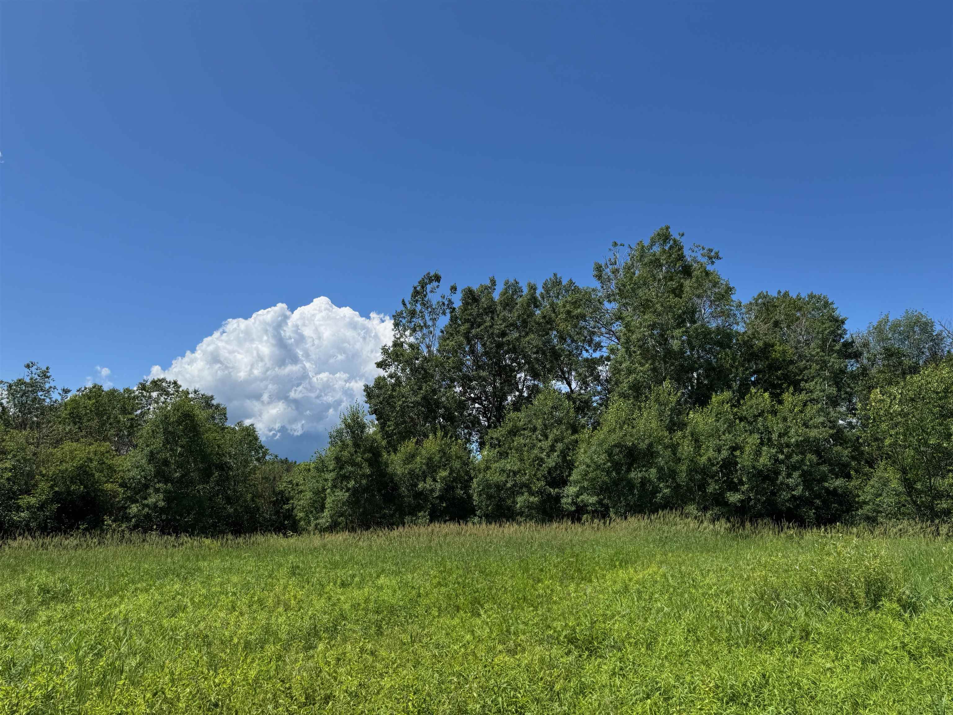 8143 Wright Road Winter, WI 54896 - Photo 16 of 24 View of tree filled area