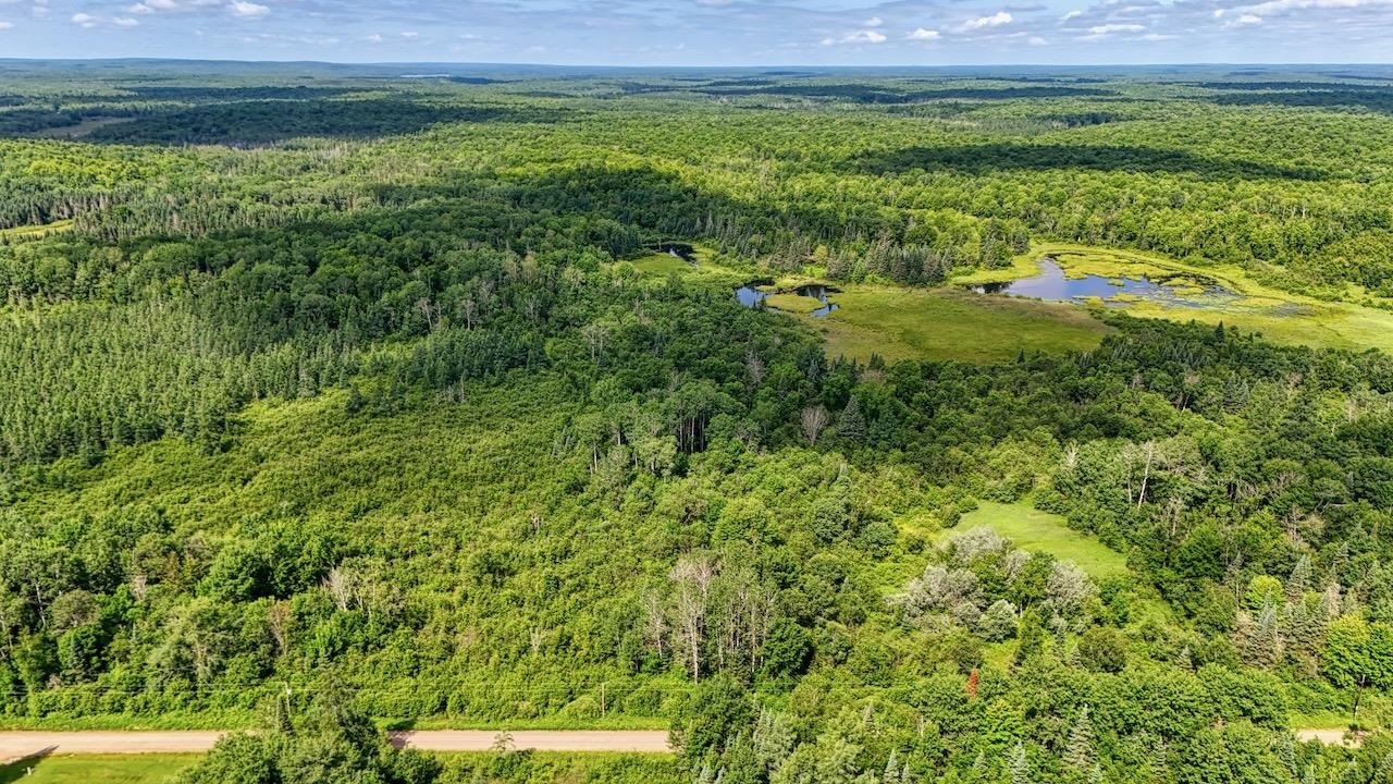 8143 Wright Road Winter, WI 54896 - Photo 17 of 24 Aerial view of a heavily wooded area and a nearby body of water