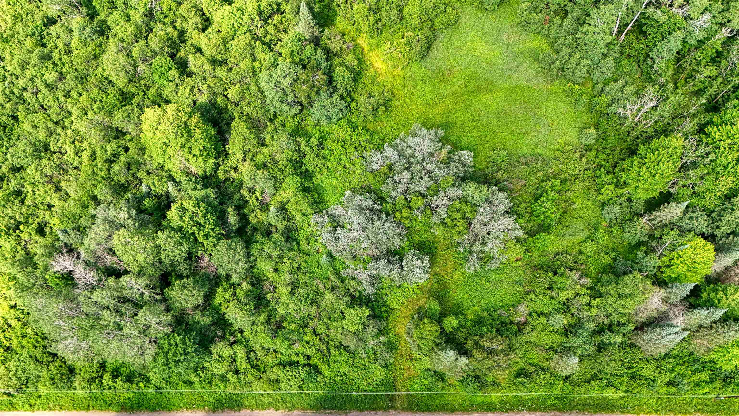 8143 Wright Road Winter, WI 54896 - Photo 19 of 24 Drone / aerial view of a forest