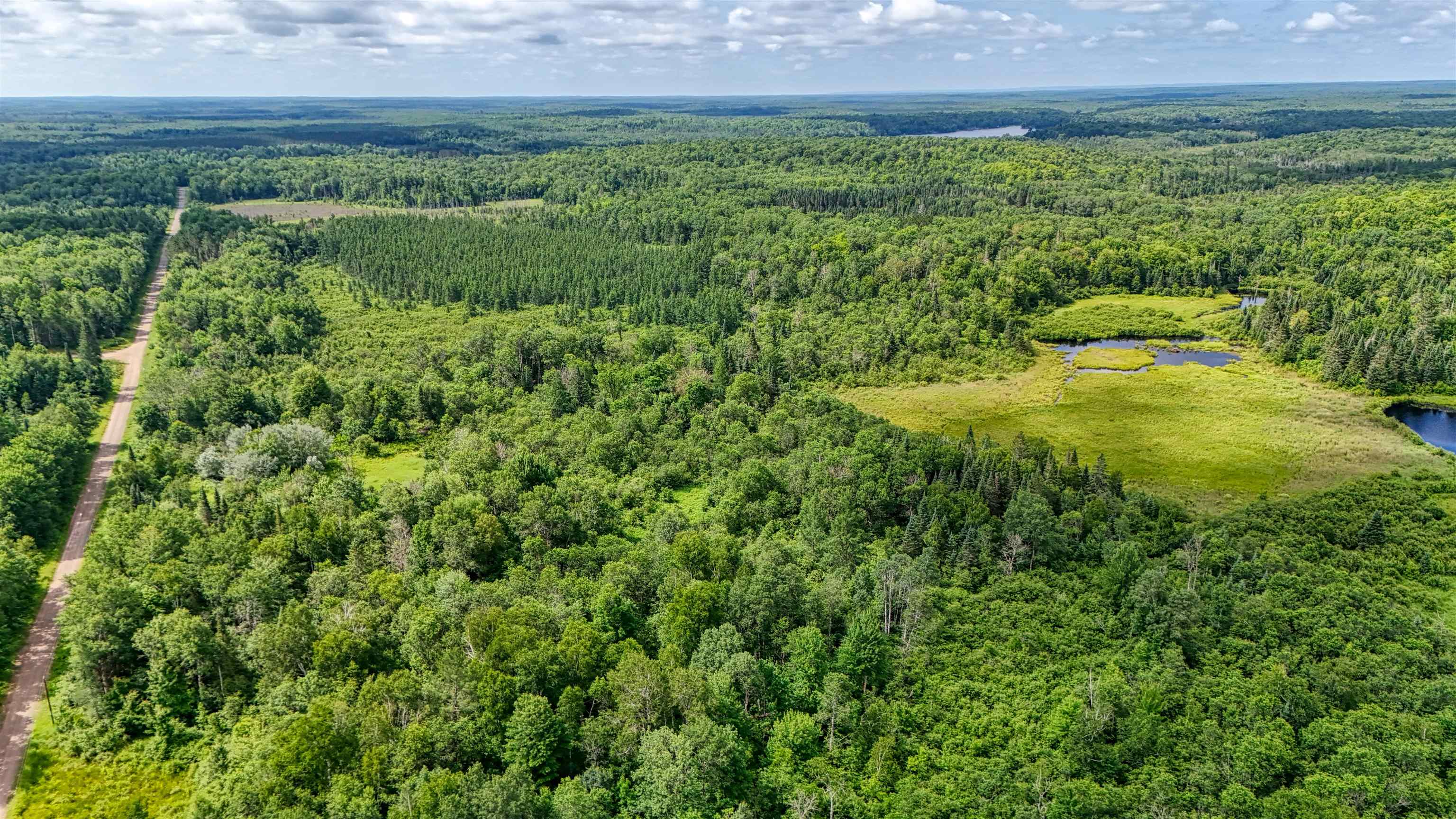 8143 Wright Road Winter, WI 54896 - Photo 2 of 24 Drone / aerial view of a heavily wooded area and a nearby body of water