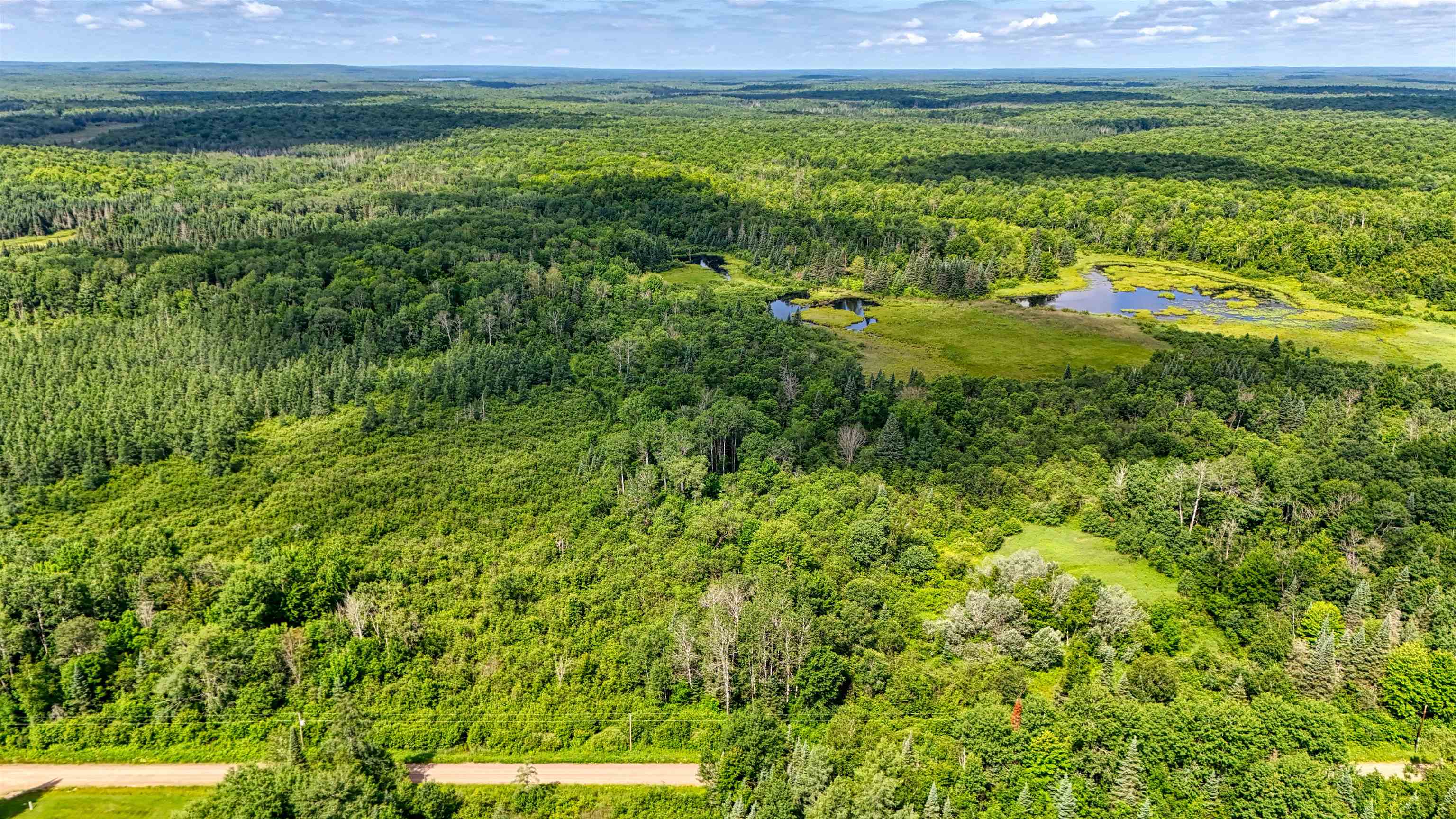 8143 Wright Road Winter, WI 54896 - Photo 21 of 24 Drone / aerial view of a heavily wooded area and a nearby body of water