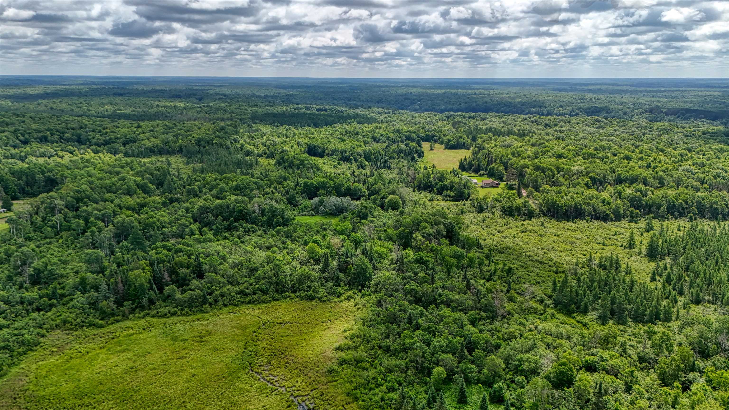 8143 Wright Road Winter, WI 54896 - Photo 23 of 24 Drone / aerial view of a forest