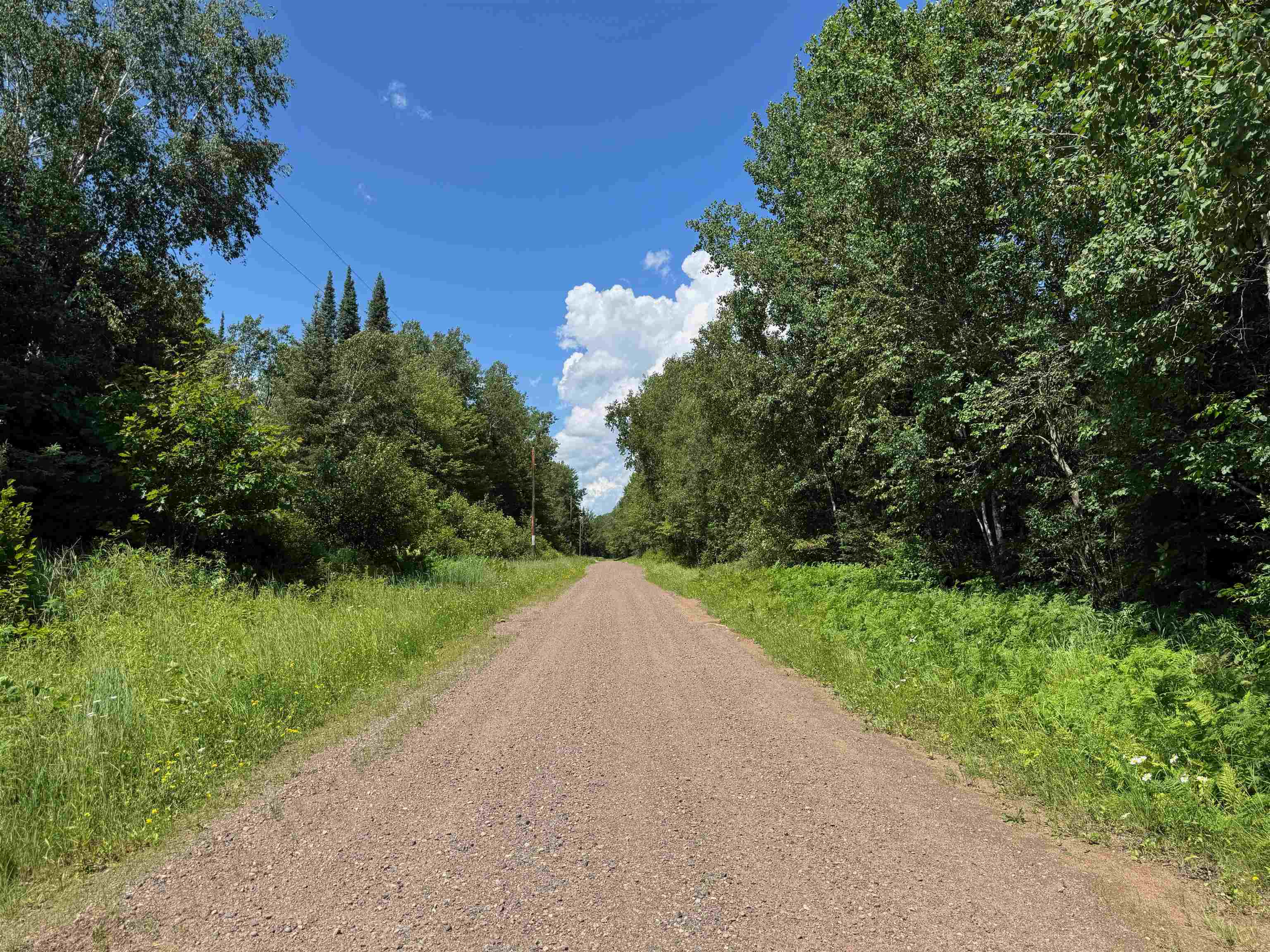 8143 Wright Road Winter, WI 54896 - Photo 5 of 24 View of dirt / gravel road