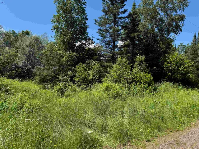 $115,000 | 8143 Wright Road, Winter, WI 54896