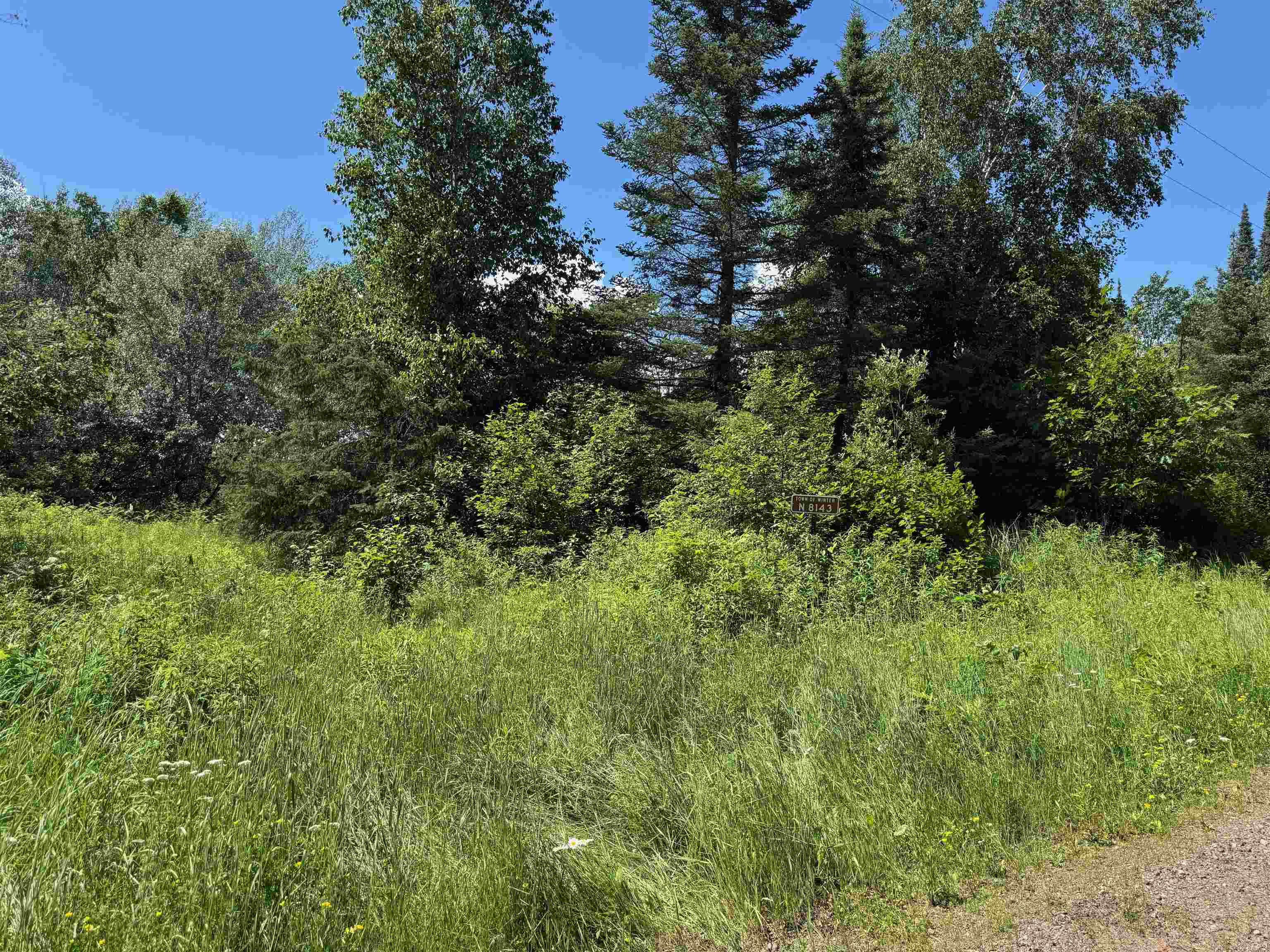8143 Wright Road Winter, WI 54896 - Photo 6 of 24 View of undeveloped land