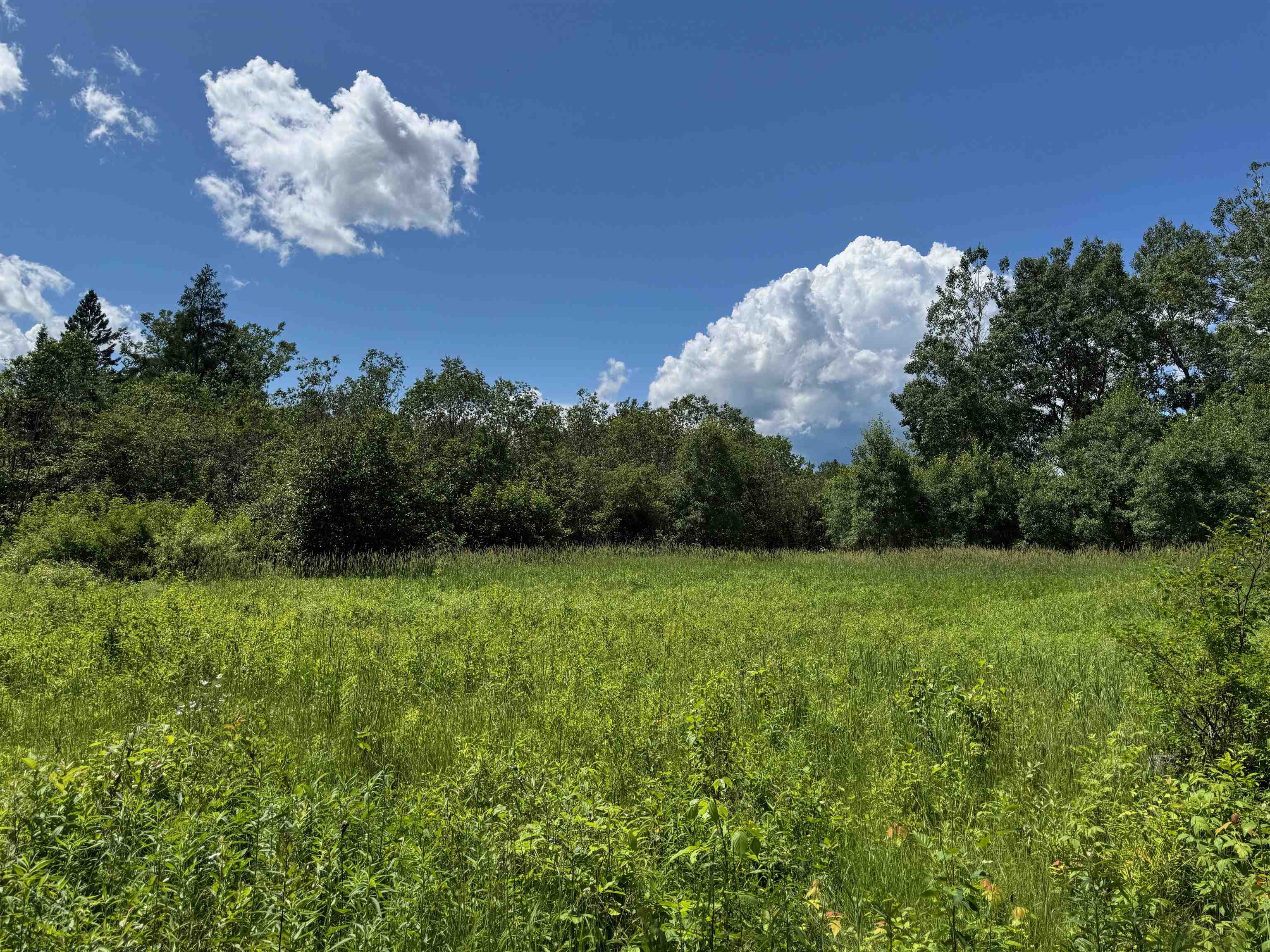 8143 Wright Road Winter, WI 54896 - Photo 8 of 24 View of nature