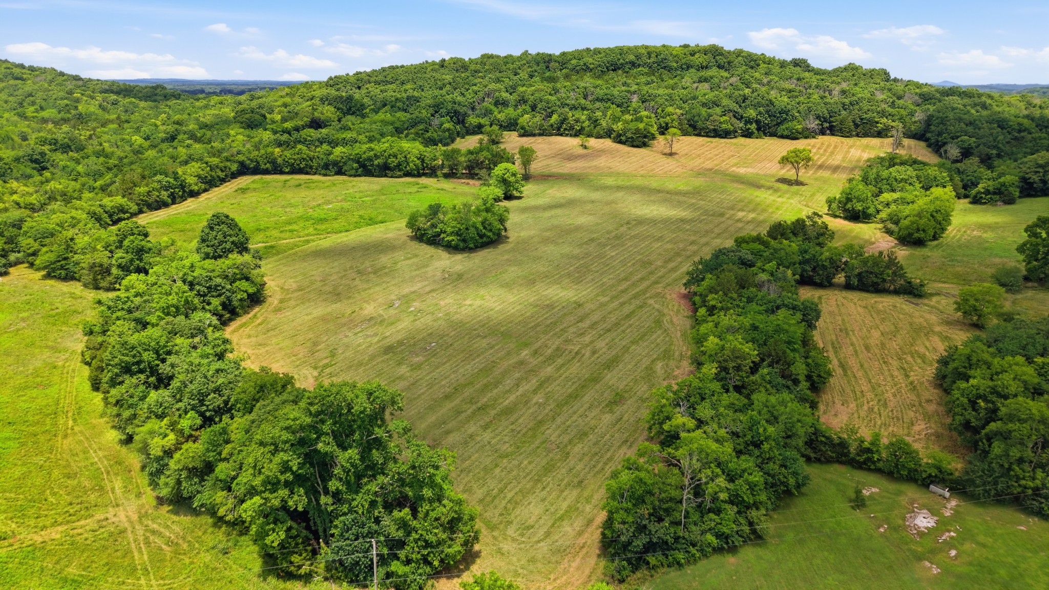 0 Pete Alsup Road Lascassas, TN 37085 - Photo 26 of 32