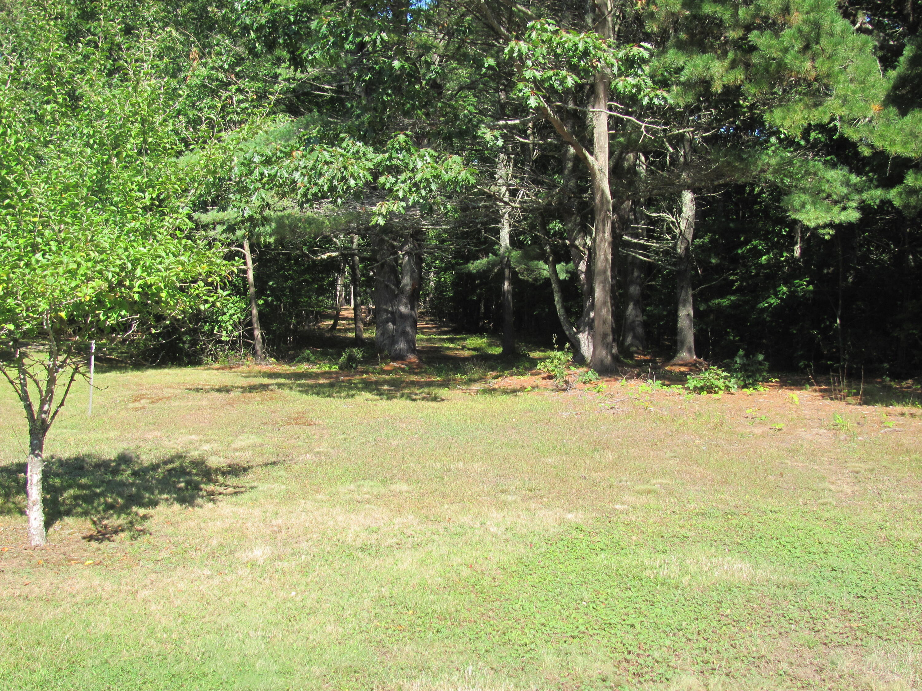 Lot #3 Salvato Lane Kennebunk, ME 04043 - Photo 2 of 8 lot 3 salvato 209