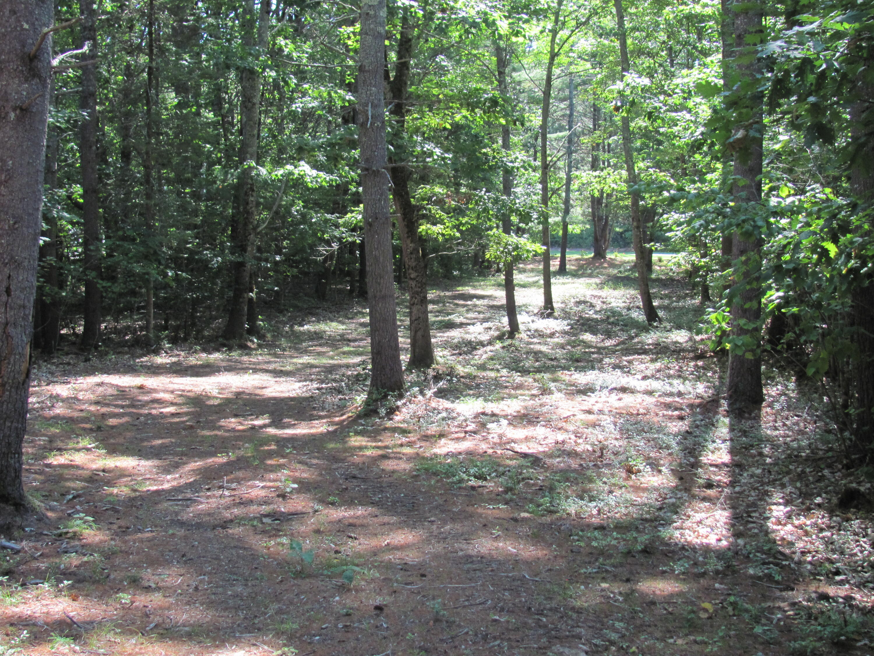 Lot #3 Salvato Lane Kennebunk, ME 04043 - Photo 4 of 8 lot 3 salvato 219