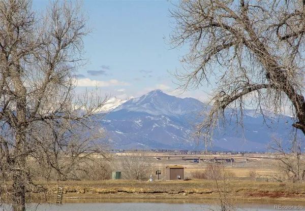 a view of road and with trees