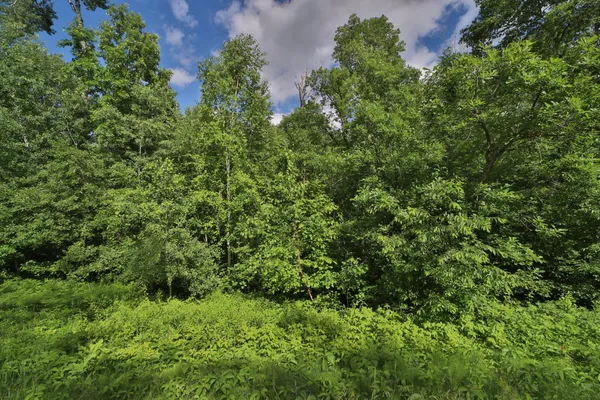$20,000 | Tbd Percheron Drive, Breezy Point, MN 56472
