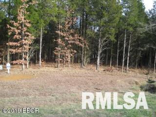 Lot 257 Parrish Ridge Lane Goreville, IL 62939 - Photo 4 of 6 Gallery Image 4