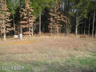 Lot 257 Parrish Ridge Lane Goreville, IL 62939 - Photo 5 of 6 Gallery Image 5