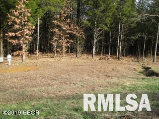 Lot 257 Parrish Ridge Lane Goreville, IL 62939 - Photo 6 of 6 Gallery Image 6