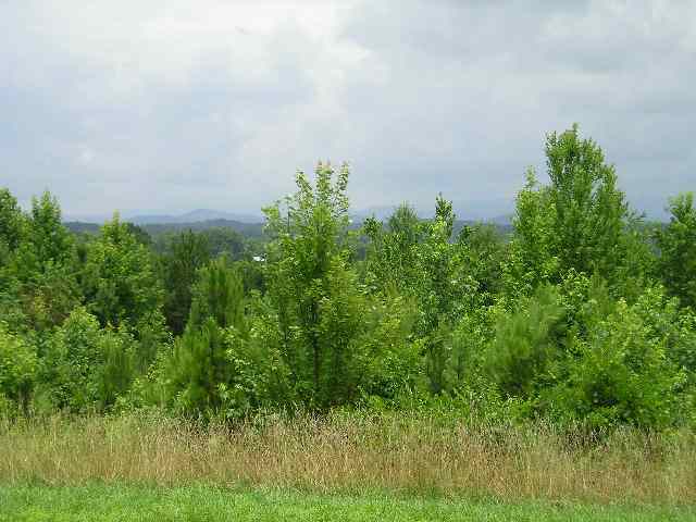 Lot 7 Mile Ridge Six Mile, SC 29682 - Photo 3 of 3 Gallery Image 3