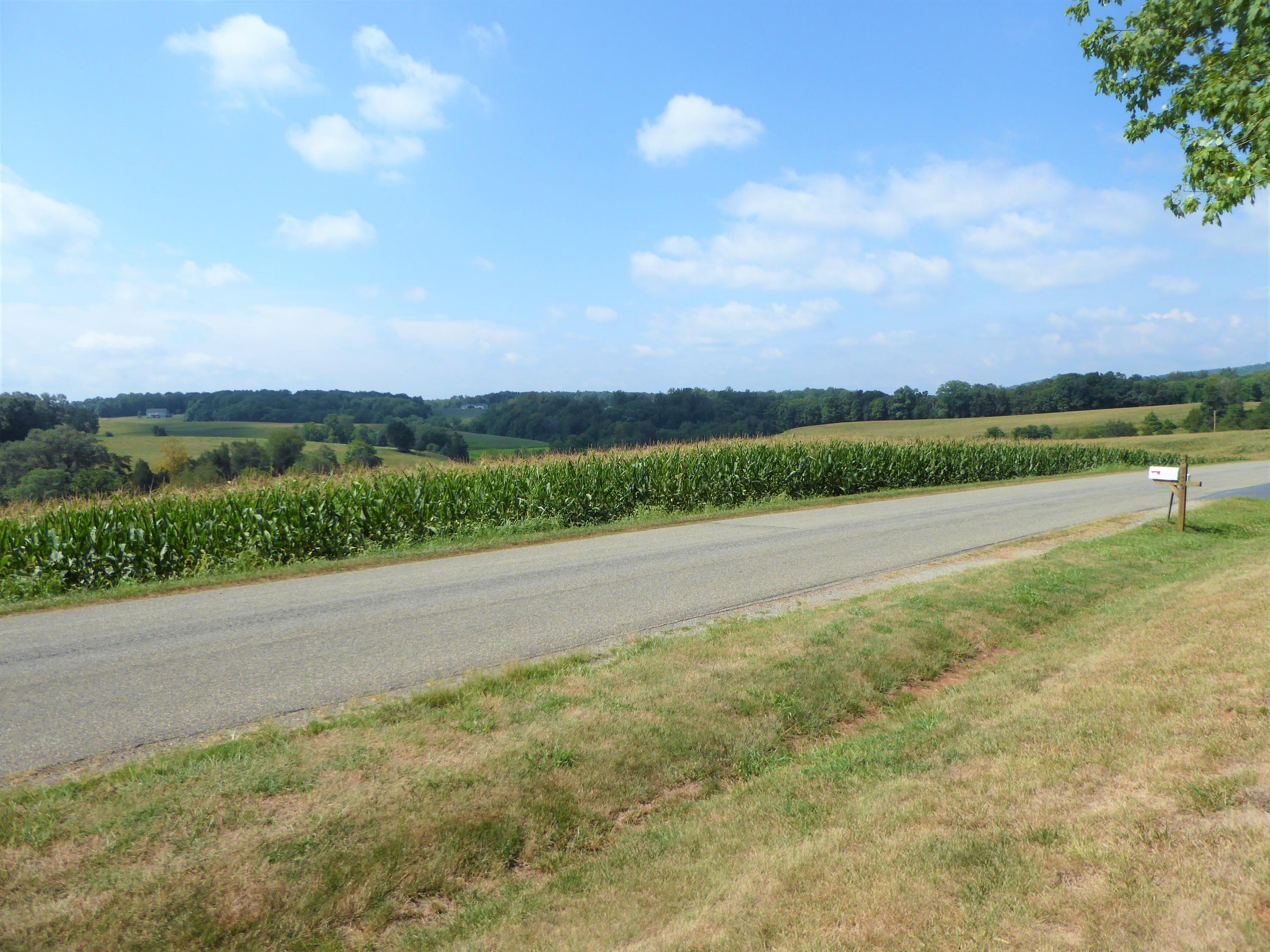 585 Bonbrook Road Wirtz, VA 24184 - Photo 17 of 31 18 View