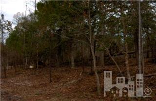 0 Winding Branch Road Hampstead, NC 28443 - Photo 1 of 1 Primary Photo