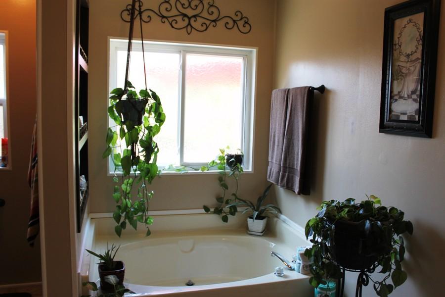 6110 Hubbard Road Acton, CA 93510 - Photo 17 of 46 a bath room with a sink and a large mirror with potted plant