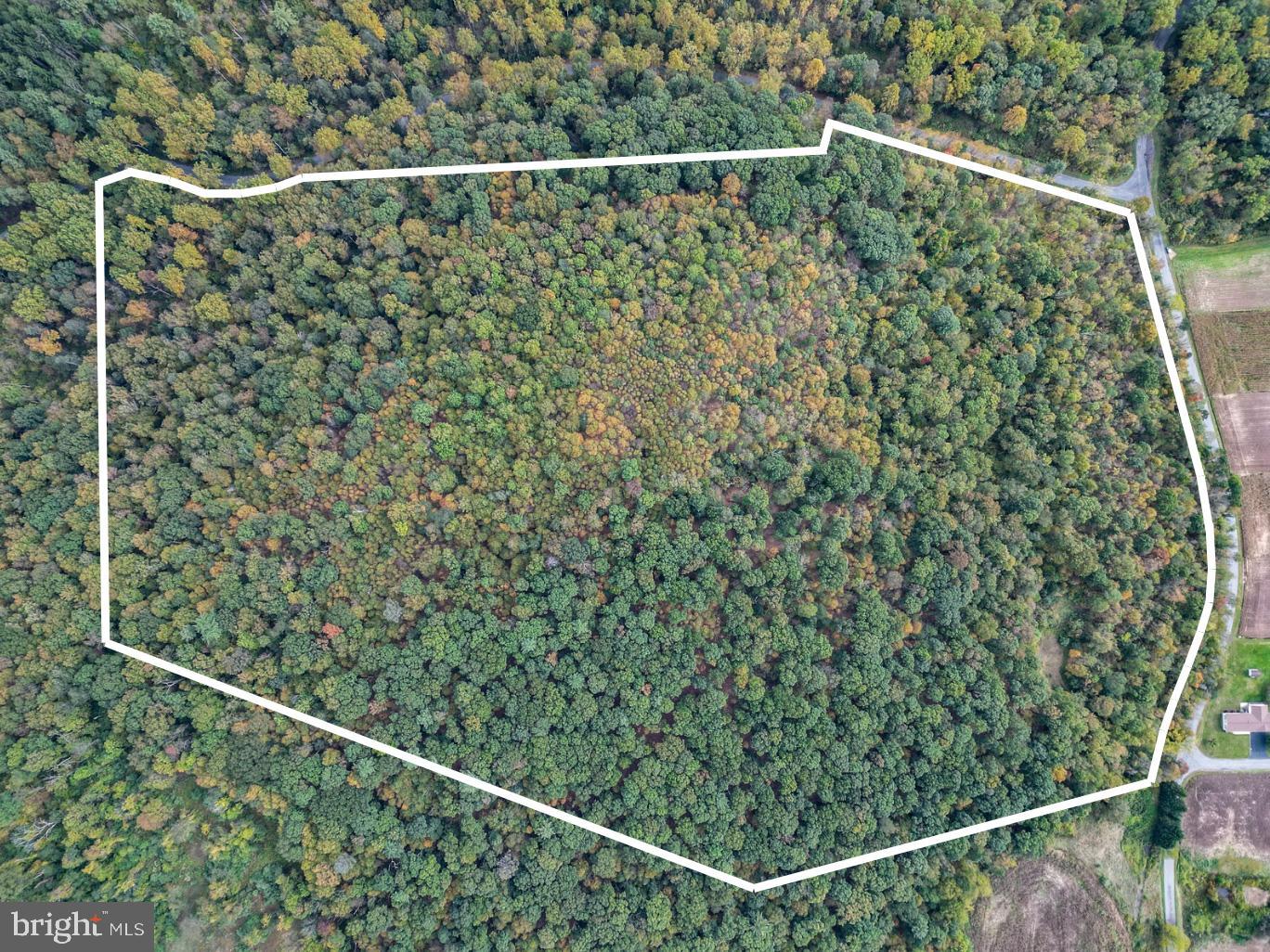 Welcome to 49 Acres in West Penn Township!