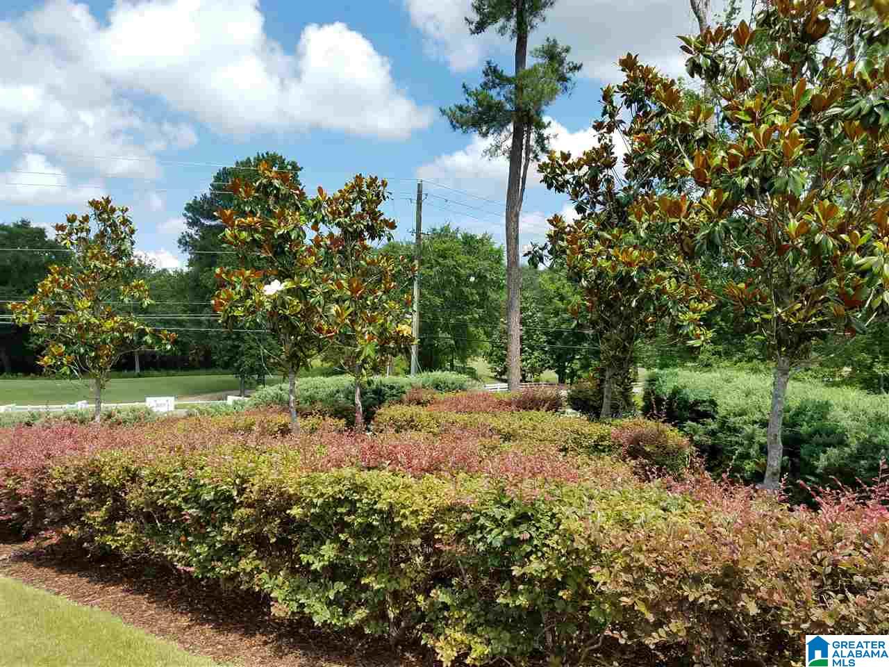 155 Cornerstone Court, Unit P155 Bessemer, AL 35022 - Photo 31 of 39