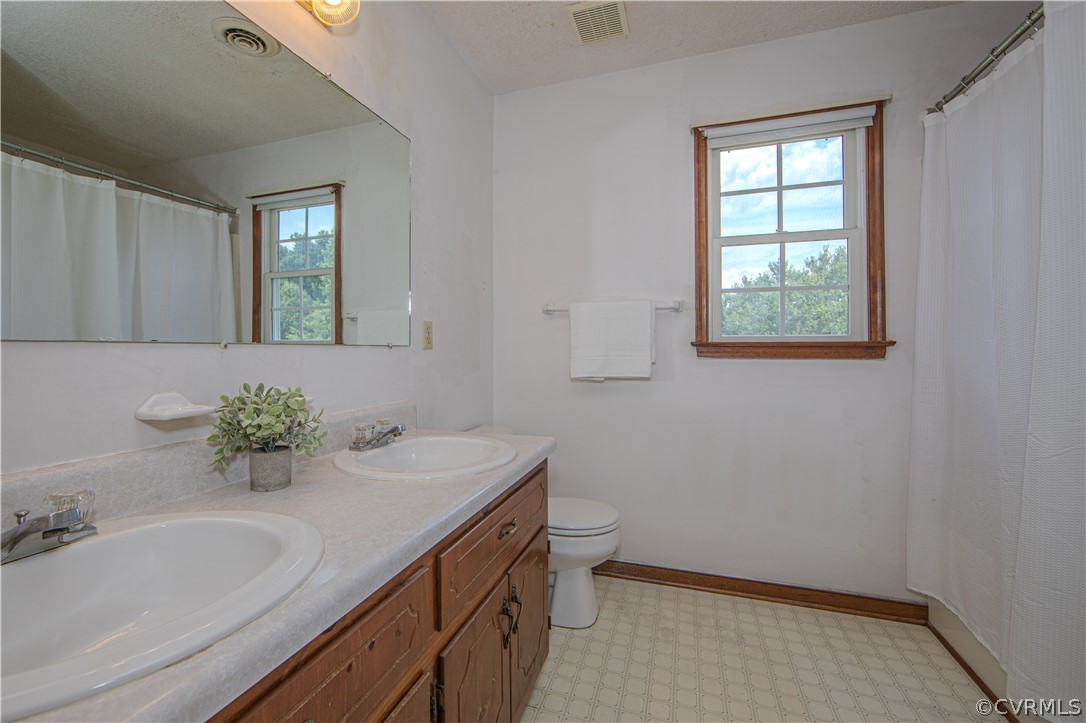 15895 Loving Union Road Disputanta, VA 23842 - Photo 23 of 42 a bathroom with a sink and a toilet
